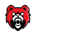Bridge Street Sports Centre